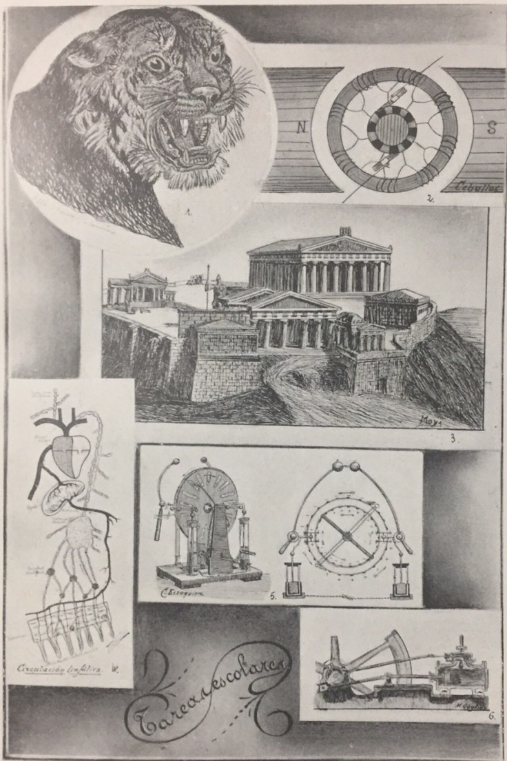 Tareas escolares en el Colegio del Pilar 